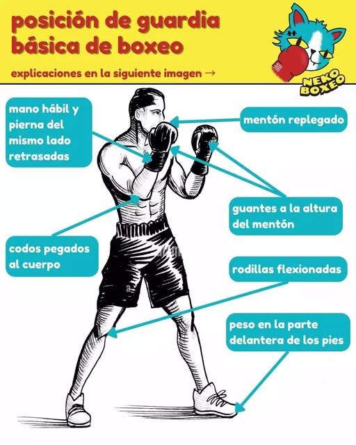 Posición de guardia básica de boxeo
